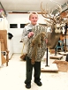 WhiteTail Deer Taxidermy