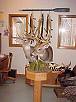 WhiteTail Deer Taxidermy