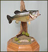 Fish Taxidermy