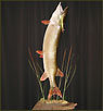 Fish Taxidermy