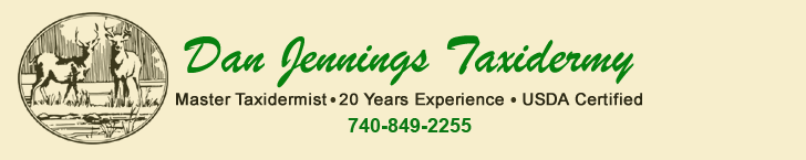 Dan Jennings Taxidermy Zanesville, Ohio Full Service Taxidermy Studio